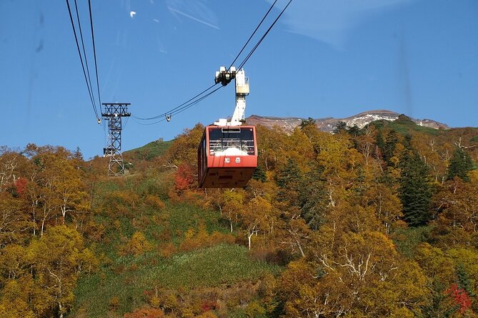 1 Day Fascinating Asahidake and Biei Discovery Tour in Hokkaido
