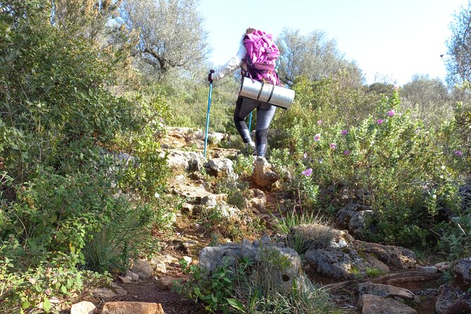 1 Day Pilgrimage Experience to Fátima