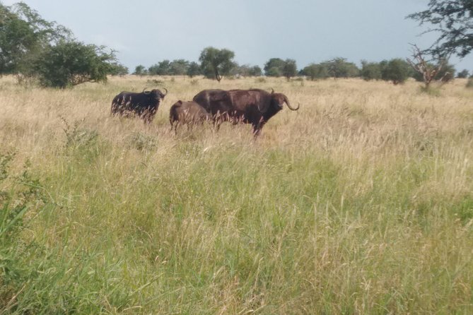 1 Day Shimba Hills - Itinerary Highlights