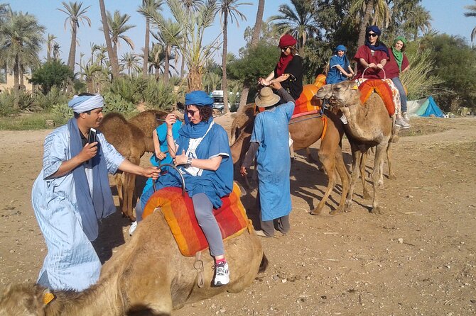 1-Hour Camel Ride in La Palmeraie Marrakech With Hotel Pick up - Tour Overview