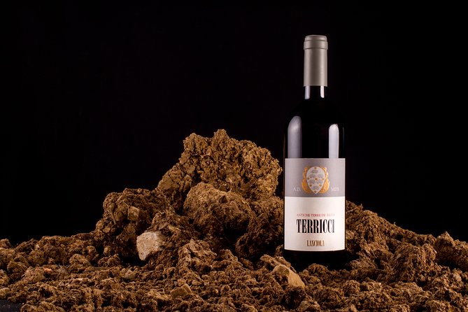 1 Hour Wine Tasting Experience in the Hills of Florence - Experience Overview