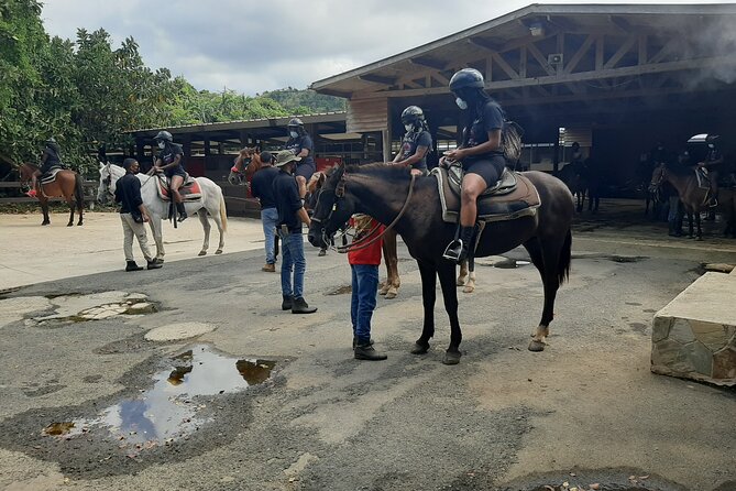 1 or 2 Hour Puerto Rico Horseback Ride Experience!