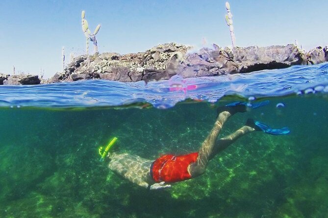 12 Days Exploring Galapagos Santa Cruz- Isabela – San Cristobal