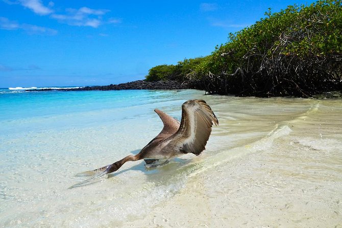 16-Day Ecuador Adventure: Andes, Amazon & Galapagos