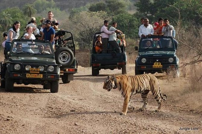 2-Days Private Ranthambhore Tiger Tour From Jaipur