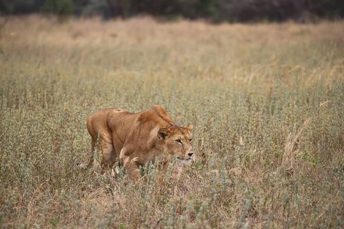 2 Days Safari in Tarangire and Ngorongoro Crater