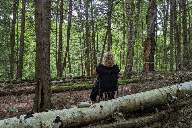 2-Hour Guided Private Forest Bathing Experience Lenox