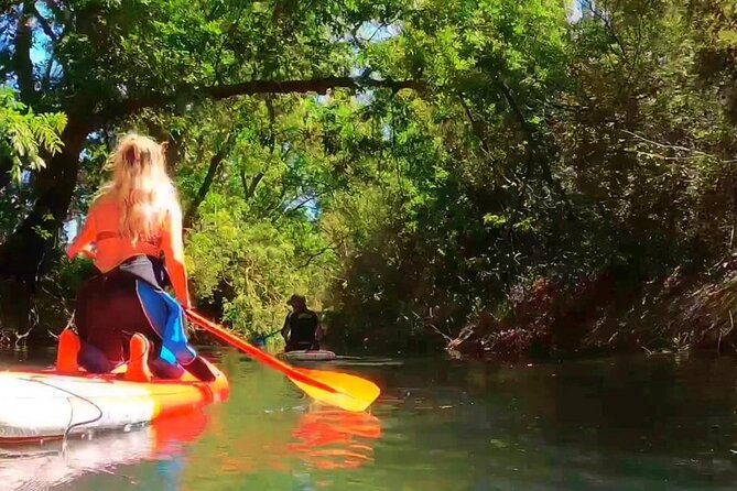 2 Hours and a Half Sup Tour in the Ciane Reserve in Syracuse - Tour Overview