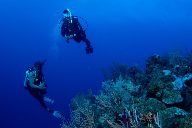 2-Tank Scuba Boat Trip in World-Class Sites @ Copamarina