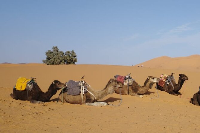 3-Day Desert Tour From Marrakech to Merzouga
