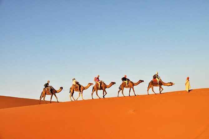 3-Day Tunisia Sahara Desert Camel Trek From Douz