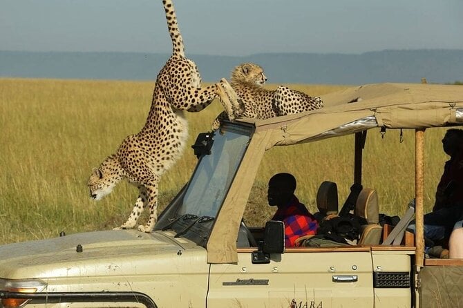 3 Days – 2 Nights Maasai Mara From Nairobi