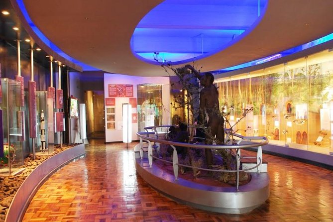 3 Hours Nairobi National Museum - Overview of the Museum