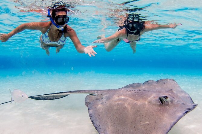 3-Stop Adventure: Stingray City and Snorkeling at Cayman Reefs