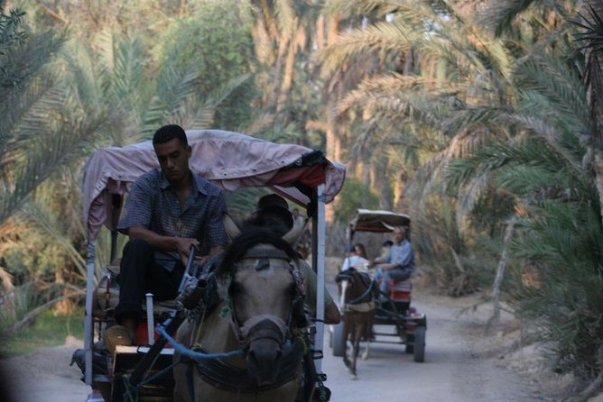 3DAYS 4×4 Safari From Sousse/Hammamet/Tunis 100KM Deep in Desert Camp