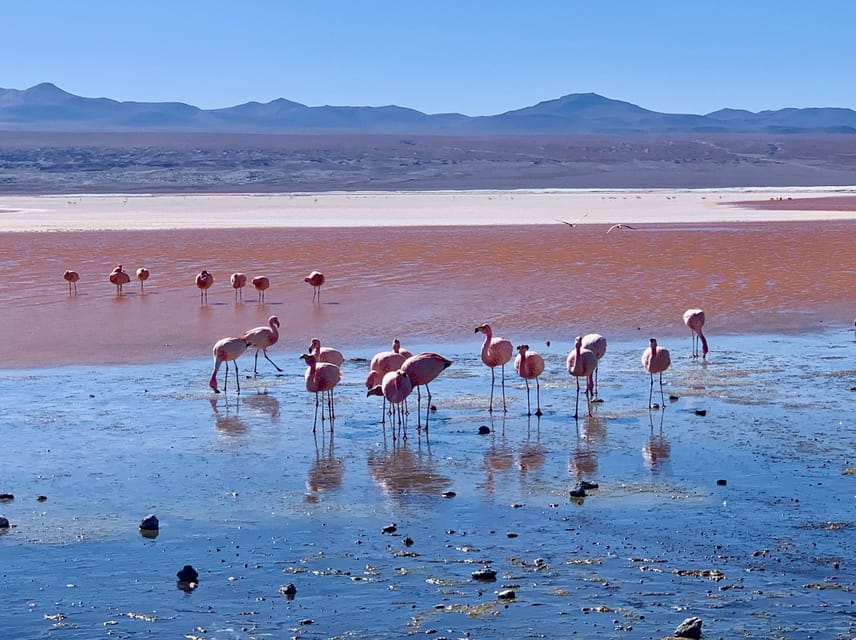 4 DAYS 3 NIGHTS SAN PEDRO DE ATACAMA- UYUNI- PRIVATE SERVICE