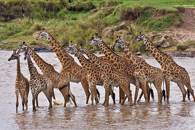 4-Days Best Wildlife Safari: Amboseli, Tsavo West & Tsavo East Private Safari - Safari Overview