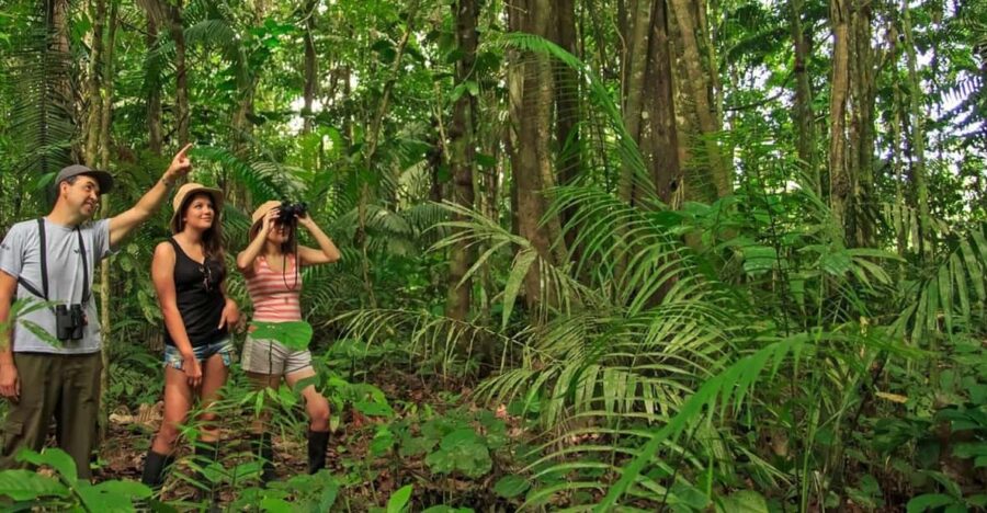 4 Days - Premium Tambopata Jungle Tour - Tour Overview