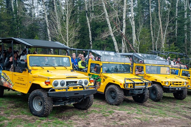 4WD Panoramic Peak Photo Tour in Estes Park - Tour Overview