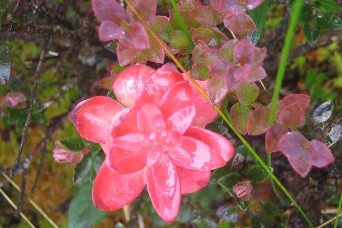 5 Day – Inca Trail Express to Machu Picchu – Group Service
