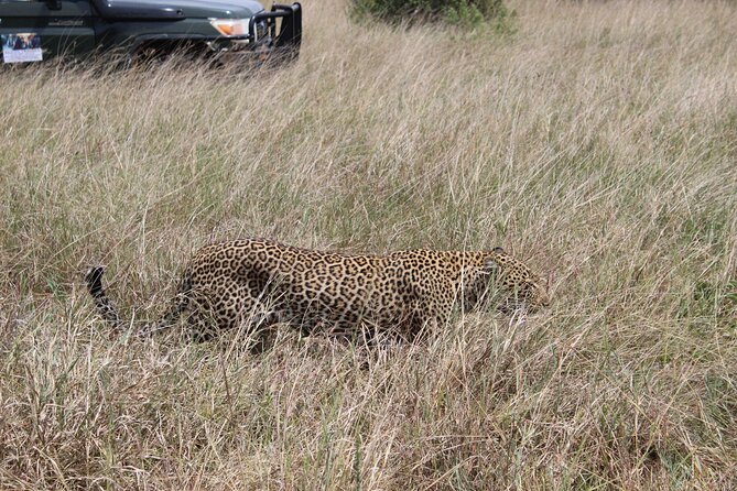 5-Day Private Tour in Kenyas Best Game Parks