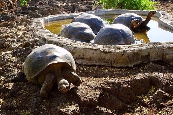 5 Days Guided Galapagos Adventure Trip