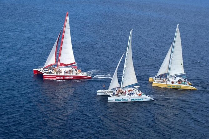5 Hours Montego Bay Sunset Catamaran - Overview of the Experience