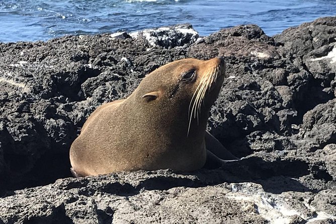 6-Day Galapagos Superior Adventure (Tourist Superior Class)