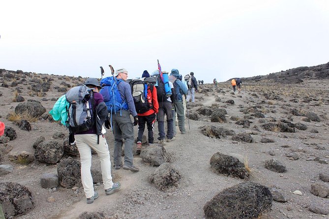 6-Day Kilimanjaro Umbwe Route–Steep,Adventurous, Challenging Path