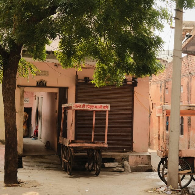 6 Days, 3 Cities: The Golden Triangle Experience