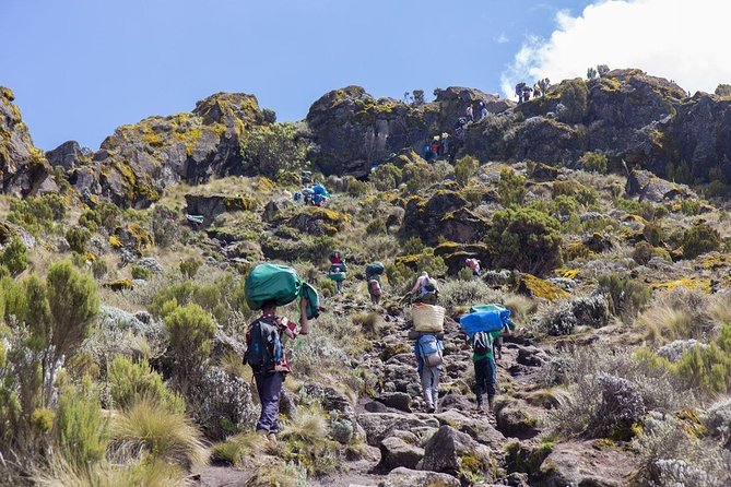 7-Day Kilimanjaro Climb Machame Route–The Best Path to Uhuru Peak