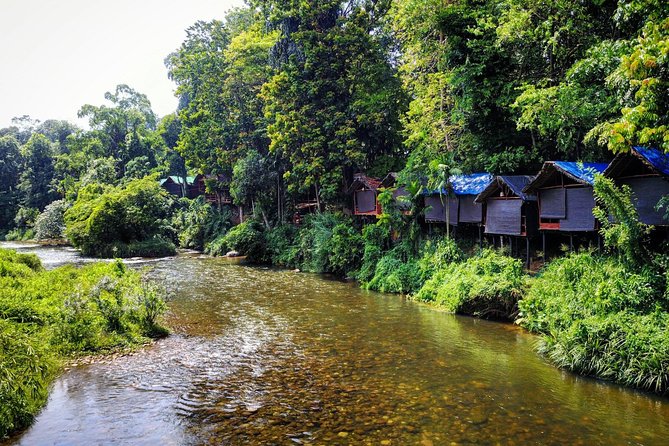7-Day off the Beaten Nature and Wildlife Tour