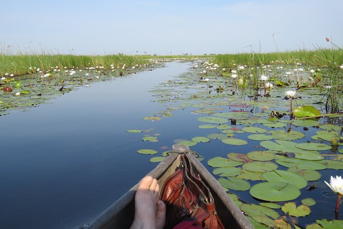 8 Day Okavango Safari – Wilderness Trail (Inner Delta & Moremi)