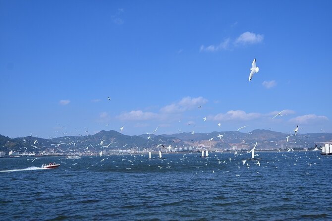 9-Day Tour: Explore Yunnan