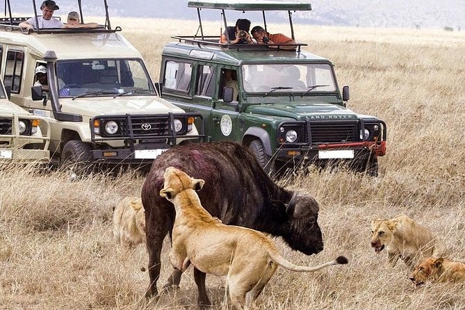 9-Days Best of Kenya Wildlife Private 4X4 Jeep Safari