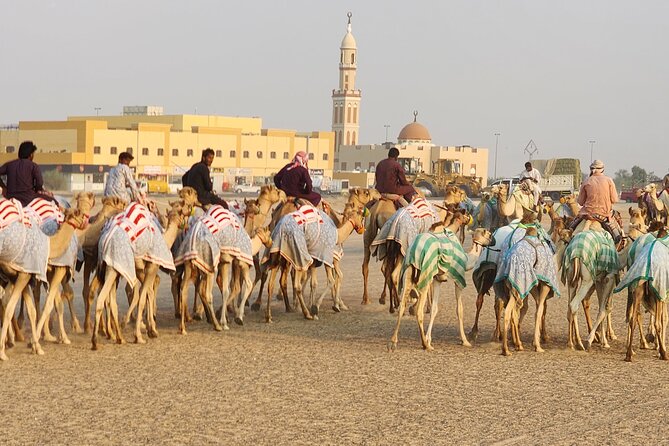 90 Minutes Guided Cultural Camel Riding in Dubai - Activity Overview