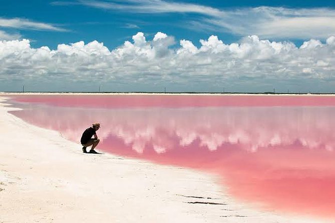 Adventour Day: Coloradas and Rio Lagartos Excursion From Cancun!