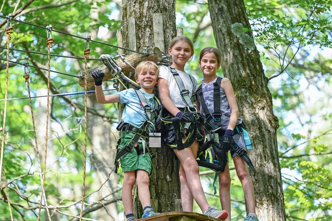 Aerial Adventure Park Admission - Meeting and End Point
