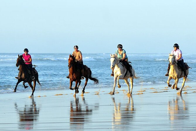 Agadir/Taghazout Horse Ride on the Beach - Transportation and Accessibility
