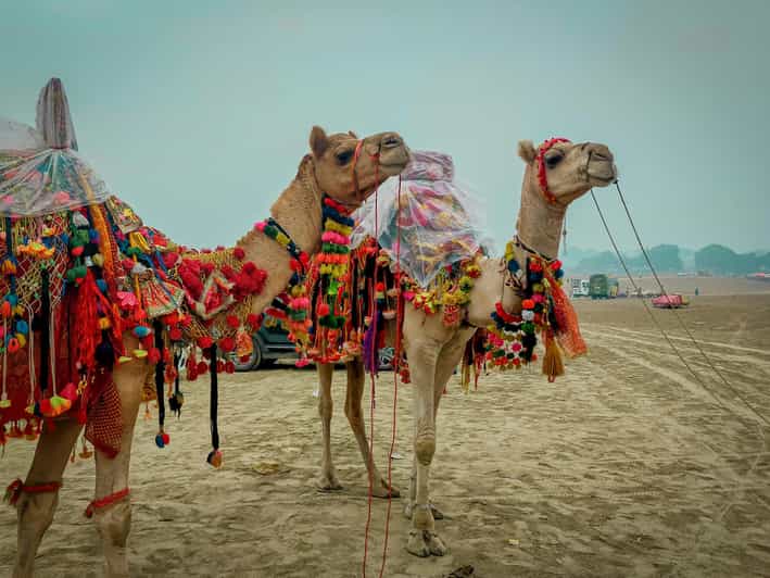 Ajmer Pushkar Day Trip From Jaipur