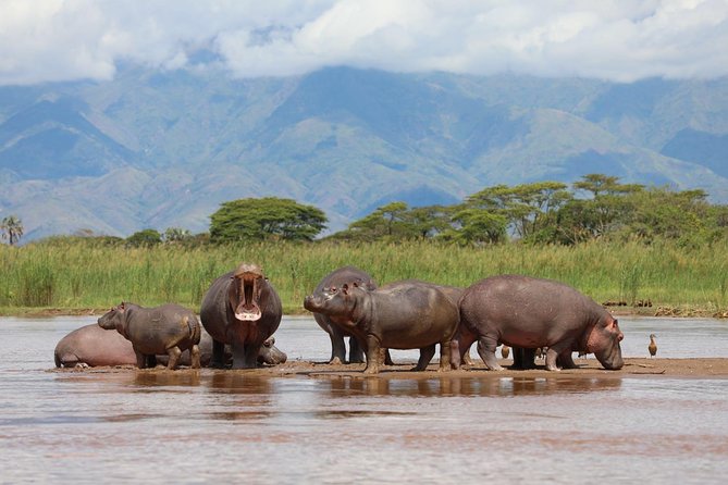 Akagera Game-drive Safari