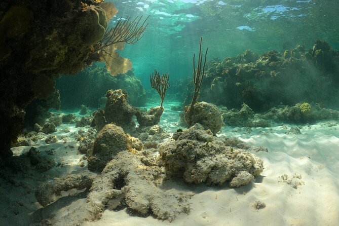 All-Inclusive Day-Trip From Nassau to Andros Bahamas