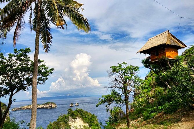 All Inclusive : East and West Parts of Nusa Penida Island - Land Tour in One Day - Inclusions