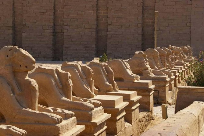 Amazing Day Tour to Luxor From Cairo by Plane,Tours,Sailing Felucca&Camel Ride. - Activities and Highlights