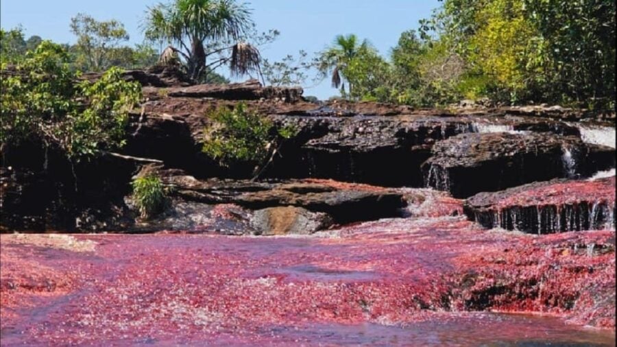 Amazing Guaviare Plan 3 Days and 2 Nights - Tour Overview and Pricing