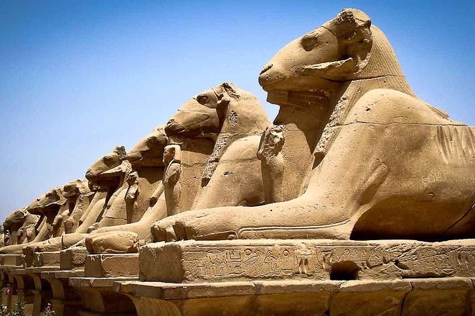 Amazing Nile Cruise 7 Nights From Luxor to Aswan and Back to Luxor Again