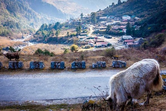 Amazing North Sikkim 2 Nights 3 Days