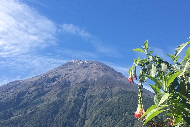 Andes & Amazon, the Triangle Route 5 Days / 4 Nights (Private Trip From Quito)