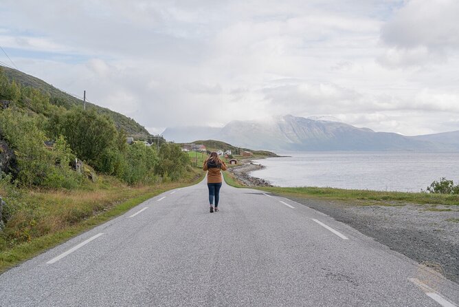 Arctic Roadtrip: Fjords With Scenic Picnic | Small Group 4×4 Van