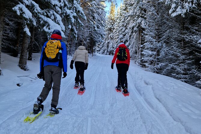 Arctic Snowshoe Hike in Norway - Activity Overview